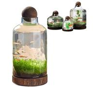 FkYstrix Fish Tank Vase Aquarium with Wooden Base Micro Ecosphere Transparent Clear Fish Bowl Hydroponic Plant Art Decor for Desktop Home(L, A)