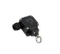 FL 576-K125 Interrupteur terminal Nbre ouvert.mont: 2 40mm PIZZATO ELETTRICA