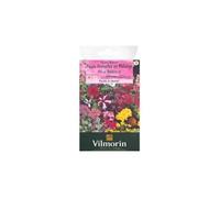 Vilmorin Sachet de graines de fleurs annuelles pour balcons 5860442 Multicolore 9 x 0,5 x 16 cm