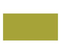 Royal Talens Amsterdam Peinture acrylique 500 ml Bouteille Vert olive clair 489672