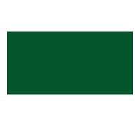 Peinture Acrylique - Vert de vessie - 623 - Amsterdam - Pot de 500ml