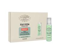 Flacons Anti Chutes ALFAPARF MILANO Le Salon Scalp Système Energize 6x13ml