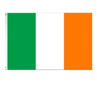 Flag Irlande Polyester Œillets Métalliques Drapeaux Couture Double Face Drapeau Pour Événements Sportifs L'Extérieur Home 3X5Ft