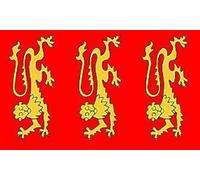 Flag Le Roi Richard Ier Résistant À La Décoloration Grande Drapeau Fly Bannière De Drapeaux Personnalisés Pour Élection Festivités Intérieur 90X150Cm