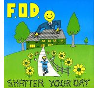 Flag of Democracy - Shatter Your Day