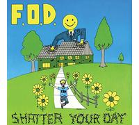 Flag of Democracy - Shatter Your Day
