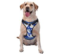 Flag of Israel Harnais pour chien de petite, moyenne et grande taille - Sangles réfléchissantes, ajustement réglable avec boucles à dégagement rapide