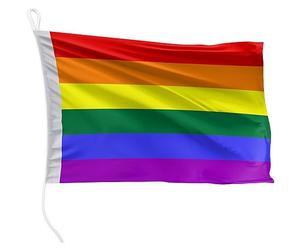 FLAGLY Drapeau de bateau arc-en-ciel 60 x 40 cm format paysage - 115g/m² poids du tissu - imprimé, robuste avec corde & boucle, Accessoires Bateaux à moteur