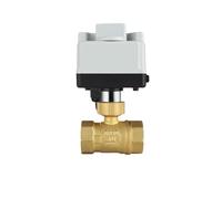 FLAGPVPAGT Brass Motorized Ball Valve AC220V DC12V Three-Wire Electric Actuator Manual Switch Two Control DN15-50 IP67 Smart Water(DN20,AC220V_2 WAY)
