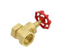 FLAGPVPAGT G 1/2" 3/4" 1" 1-1/2" 2" Female Thread Brass Gate Valve DN15 DN20 DN25 DN32 DN40 DN50 with Steel Handwheel Full Port(DN25)