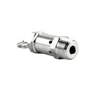 FLAGPVPAGT Soupape de sécurité sanitaire à ressort en acier inoxydable 304, filetage mâle BSPT 1/4" 1/2", pression service 0,5 1 2 3-10 bar, for compresseur d'air DN8(1/2",6 BAR_2PCS)