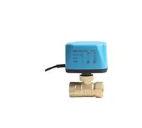 FLAGPVPAGT Vanne à bille motorisée intelligente Tuya WiFi, minuterie d'eau, interrupteur intelligent, vanne électrique avec vie Alexa Alice Google Home AC220V(2")