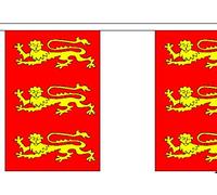 FlagSuperstore© Banderole King Richard 1ère - Grande-Bretagne - 9 m - Polyester - 30 drapeaux par 9 m de long