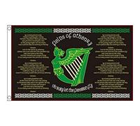 FlagSuperstore© Drapeau des Champs d'Athenry - Grand Format 152 x 91 cm - Irlande Republican