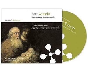 Flaig,Markus - Bach & Mehr-Kantaten und Kam [Import]