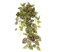 Flair Flower 151724GNR - Décoration Murale en Lierre - Décoration Murale - 80 x 28 x 26 cm