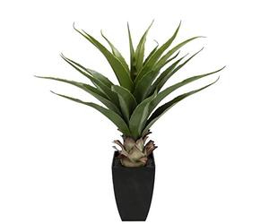 Flair Flower Agave en Pot