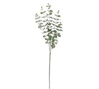 Flair Flower Branche d'eucalyptus Artificielle glacée - Branche décorative - Couronne de Fleurs artificielles