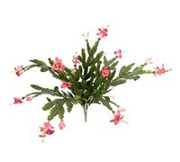Flair Flower Cactus Artificiel avec Fleurs - Cactus de Noël - Cactus de Noël - Plante d'intérieur avec Fleur Rouge - Fleurs en Soie - Plante Verte - Plantes artificielles Plates - Plante Artificielle