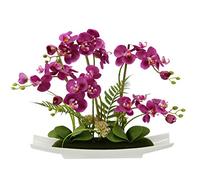 Flair Flower Fleurs artificielles en Forme de Papillon orchidée en céramique avec Pot de Fleurs artificielles Décoration de Mariage, Rose, 50x55x14 cm