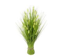 Flair Flower Herbe Artificielle à Queue de Renard - Herbe décorative - Herbe décorative - Herbe Solitaire - 60 x 22 x 22 cm - 089581GN