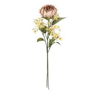 Flair Flower Lot de 2 Branches de Fleurs artificielles Protea - 70 cm - en Soie - Fleurs artificielles - pour Vase - Branche Unique d'automne - Décoration d'automne