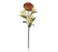 Flair Flower Lot de 2 Branches de Fleurs artificielles Protea - 70 cm - en Soie - Fleurs artificielles - pour Vase - Branche Unique - Branche d'automne - Décoration d'automne - Orange