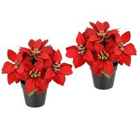 Flair Flower Lot de 2 Fleurs artificielles en Pot - Étoile de Noël - Décoration de Noël - Fleurs artificielles - Branche de X'Mas - Cadeau - Décoration de l'Avent