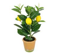 Flair Flower Mini citronnier Artificiel 30 cm - Plante Artificielle réaliste - Arbre d'agrumes - Décoration d'arbre fruitier - Plante en Pot - Plante d'intérieur - Toscane du sud