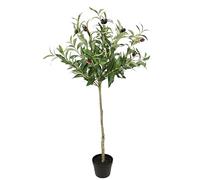 Flair Flower Olivier Artificiel avec Fruits Noirs - Olive sur Tronc - 80 cm - Arbre méditerranéen Artificiel - Plante Verte - Arbre décoratif - Arbre décoratif - Toscane du sud - 80 cm