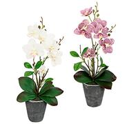 Flair Flower Orchidée Artificielle avec Pot - 40 cm - Orchidée Artificielle - Phalaenopsis avec Pot - Décoration de Mariage - Fleur en Soie - Toucher réel - Rose et Blanc