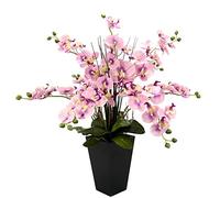 Flair Flower Orchidée dans Le Pot, Rose, 66 x 50 x 50 cm