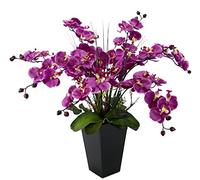 Flair Flower Orchidée dans Le Pot, Rose foncé., 66 x 50 x 50 cm