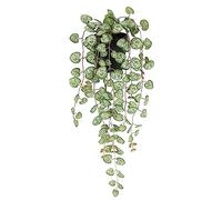 Flair Flower Plante Artificielle Chandelier - Plantes suspendues - 45 x 18 x 14 cm - Vert