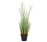 Flair Flower Plante Artificielle Protea dans Un Pot Busch Ufergras Plumes Fleurs en Soie Herbe Artificielle Plante Artificielle Plante Verte Herbe d'ornement Plante Artificielle, Blanc, 54 cm