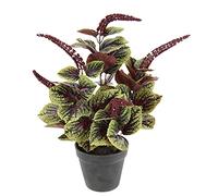 Flair Flower Plante de Poivre Nain Artificielle Violette dans Un Pot de Poivre d'ornement Peperomie Plante Artificielle en Soie Plante en Pot Plante Verte Décoration