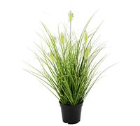 Flair Flower Setaria - Herbe Artificielle de sétaire en Pot - Plante Artificielle décorative - Herbe Verte décorative - Herbe Solitaire décorative