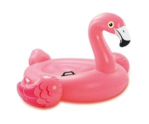 Flamant rose