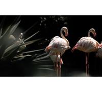 Flamants Roses - Puzzle de 5000 pièces pour Adultes - Un Jeu de société Classique et Stimulant pour Toute la Famille (14 Ans et Plus)