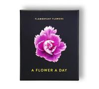 Flamboyant Flowers 2021 Calendar