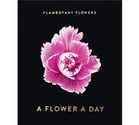 Flamboyant Flowers Perpetual Calendar by Nicolas Meriel Nicolas Meriel (Auteur)