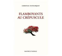 Flamboyants Au Crépuscule