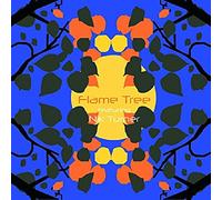 Flame Tree feat. Nik Turner - Flame Tree Feat. Nik Turner [Import]