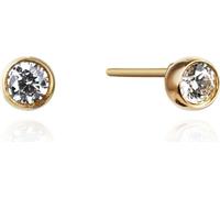 Flamenco Mystique Boucles d'oreilles en acier inoxydable plaqué or 14k avec zircon cubique, clip KST3396