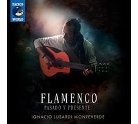 Flamenco-Pasado Y Présente