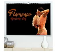 Flamenco. Spanischer Tanz (hochwertiger Premium Wandkalender 2026 DIN A2 quer), Kunstdruck in Hochglanz: Authentischer Flamenco der Spanische Tanz