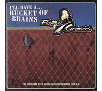 Flamin' Groovies - A Bucket of Brains [Import]