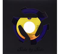 Gardner, Dylan & Flamin Groovies - Shake Some Action