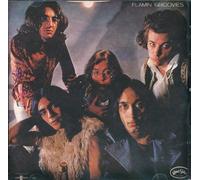 Flamin' Groovies - Flamingo [Import]