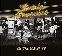 Flamin Groovies - in The USA 79 [Import]
